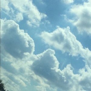 Meet your Posher, Rayven